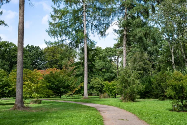 Footpath Trees Westonbirt Arboretum — Stock Photo, Image
