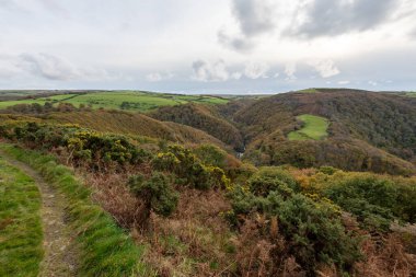 Sonbahar renklerinin Countisbury Tepesi 'nin tepesinden Exmoor Ulusal Parkı' ndaki Watersmeet Vadisi 'ne bakın.