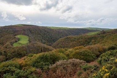 Sonbahar renklerinin Countisbury Tepesi 'nin tepesinden Exmoor Ulusal Parkı' ndaki Watersmeet Vadisi 'ne bakın.