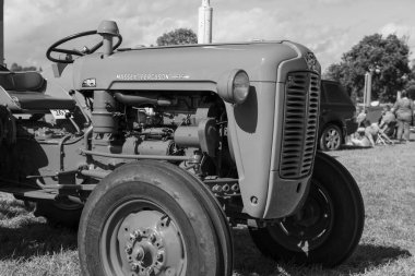 Drayton. Somerset. Birleşik Krallık. 19 Ağustos 2023 'te restore edilen Massey Ferguson 35, Dünün Çiftçi Etkinliği' nde sergileniyor.