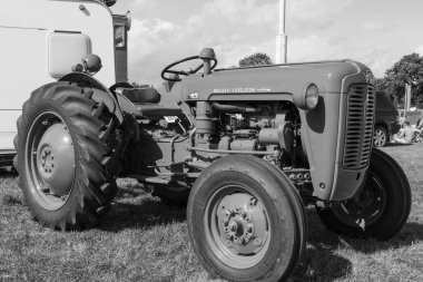 Drayton.Somerset.United kingdom.August 19th 2023.A restored Massey Ferguson 35 is on show at a Yesterdays Farming event clipart