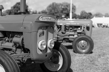 Drayton.Somerset.United kingdom.August 19th 2023.A restored Fordson Super Dexta is on show at a Yesterdays Farming event clipart