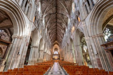 Worcester. Worcester Shire. Birleşik Krallık. 4. 2025. Worcester Katedrali 'nin içindeki naf ağacının fotoğrafı.