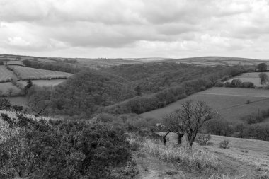 Exmoor Ulusal Parkı 'ndaki Tarr Basamakları' ndaki Barle Vadisi 'nin Vale tepesinden manzara