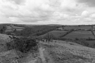 Exmoor Ulusal Parkı 'ndaki Tarr Basamakları' ndaki Barle Vadisi 'nin Vale tepesinden manzara