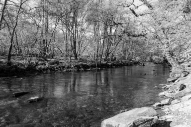 Barle nehrinin Exmoor Ulusal Parkı 'ndaki Tarr Basamakları' nda akan manzarası.