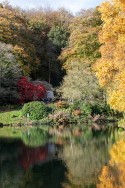 Stourton. Wiltshire. Birleşik Krallık. 26 Ekim 2024. Wiltshire 'daki Stourhead Bahçeleri' ndeki gölün sonbahar renklerinin görüntüsü.