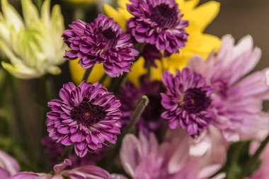 Yıldız Çiçeği buket