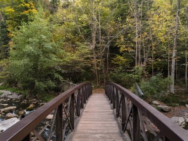 New York'un taşrasındaki Chittenango Şelalesi üzerindeki yaya köprüsü (umut veya gelecek kavramı)