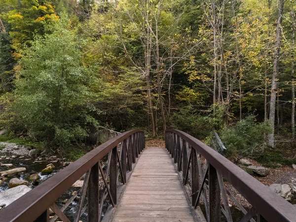 New York'un taşrasındaki Chittenango Şelalesi üzerindeki yaya köprüsü (umut veya gelecek kavramı)