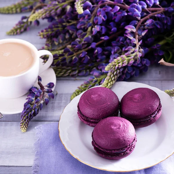 Beyaz bir fincan kahve ve eflatun makron yanında güzel mor bir lupin buketi.