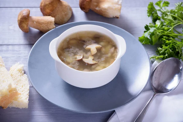 キノコのスーププレートポルチーニキノコ 素朴な質感の背景に新鮮なパセリとコショウ — ストック写真