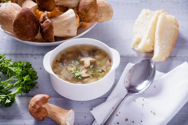 Mushroom Soup Plate Porcini Mushrooms Fresh Parsley Pepper Rustic Texture — Stock Photo, Image