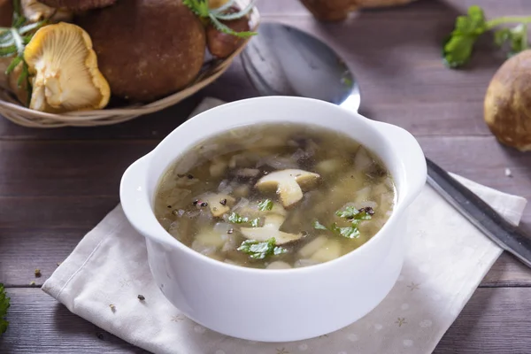 キノコのスーププレートポルチーニキノコ 素朴な質感の背景に新鮮なパセリとコショウ — ストック写真