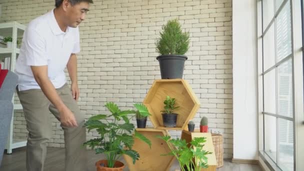 健康的亚洲老人一直有一个嗜好 就是在家里的客厅里布置植物 老年人待在家里 退休生活幸福的观念 — 图库视频影像