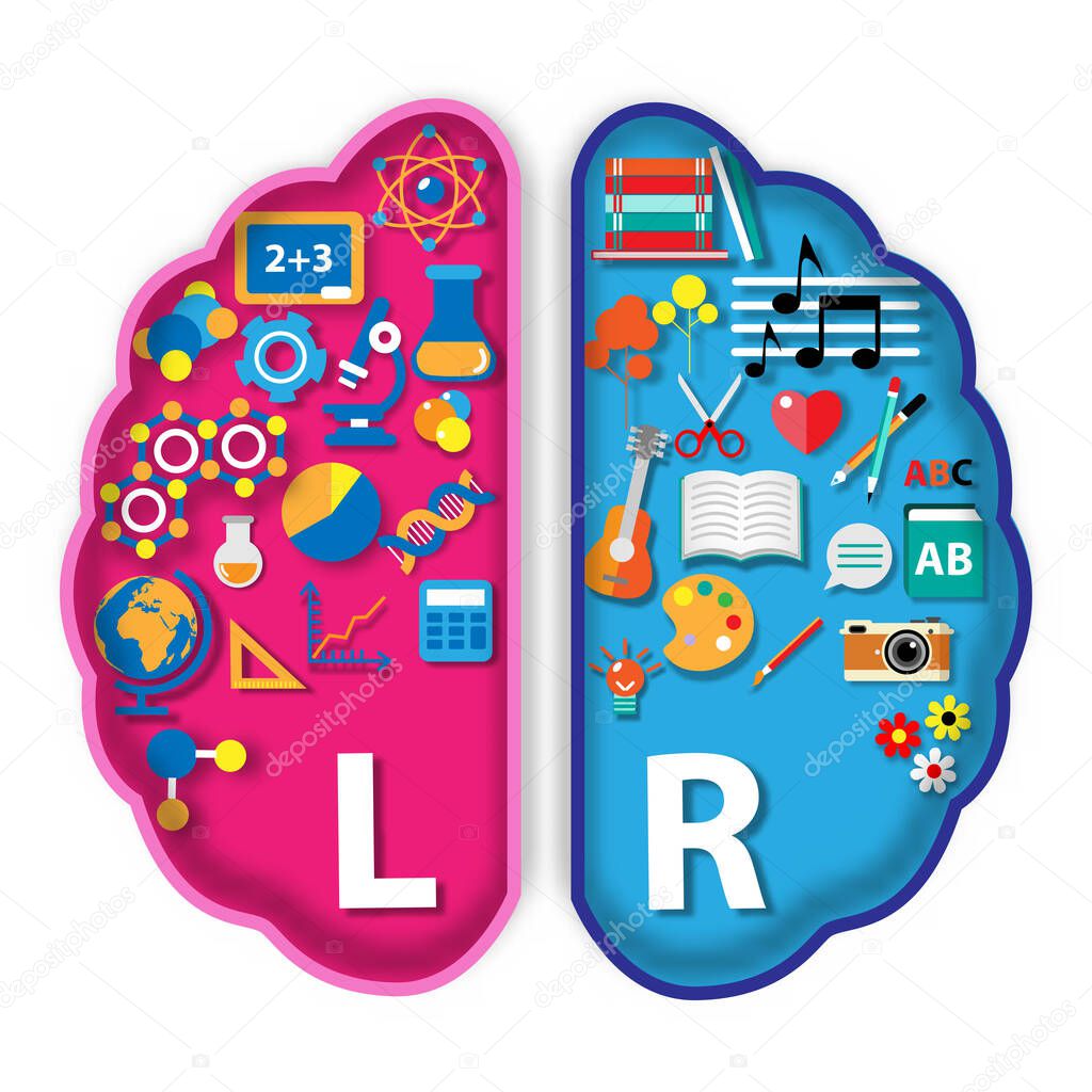 Left and right hemisphere brain concept paper art style vector