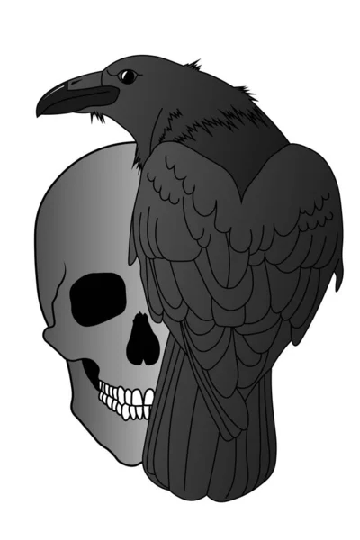 Cuervo Negro Sienta Cráneo Humano Sonriente Ilustración Para Ocultismo Ritual — Vector de stock