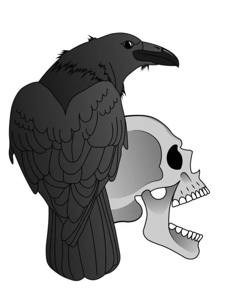Black Raven Sits Grinning Human Skull Illustration Occult Ritual Black — Stock Vector