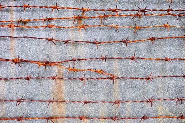 Rostiger Drahtzaun Auf Betonwand Hintergrund — Stockfoto