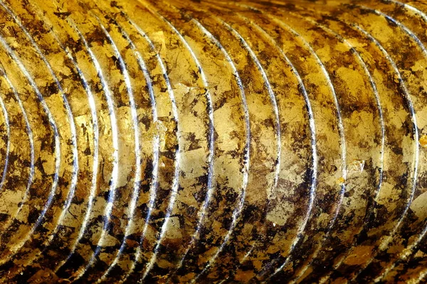 佛像古体上的金合叶 — 图库照片