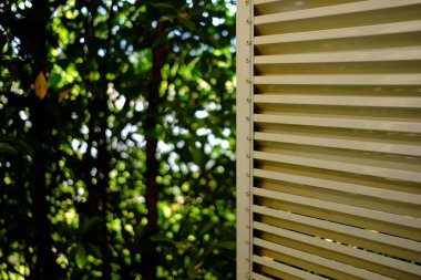 Pencereyi bahçeye aç.