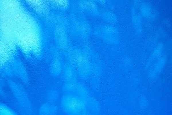 Ombre Feuilles Sur Fond Mur Béton Peinture Bleue — Photo