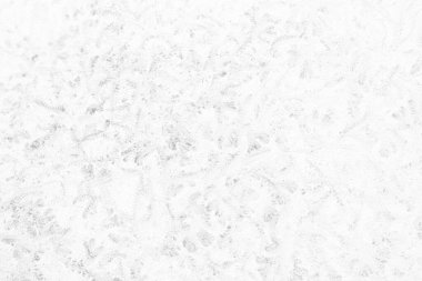 Beton Duvarda Fosil Biçimli Beyaz Yapraklar Arkaplanı.