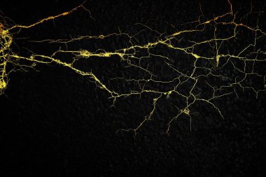 Siyah Mermer Duvar Döşeme Arkaplanda Altın Kesme.