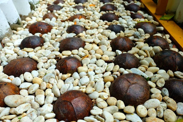 Coconut Shell Path Using Foot Massage — Stock Photo, Image