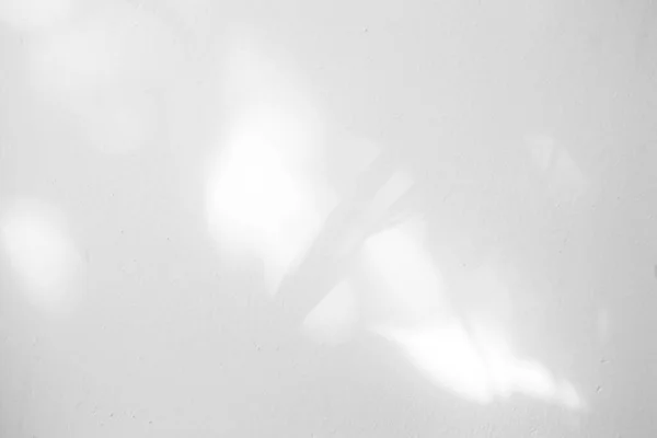 White Concrete Wall Texture Background Light Bokeh Shadow Tree Branch — Stock Photo, Image