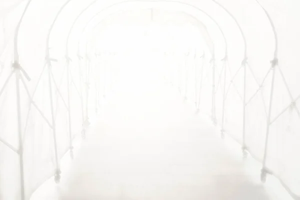 Işık Sızıntılı Beyaz Tünel Çadırı — Stok fotoğraf