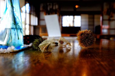 Tahta Masadaki Kestane. (Seçici Odaklanma)