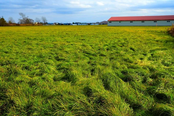 Landschaft Des Grasfeldes Mit Bauernhof Hintergrund Herbst — Stockfoto