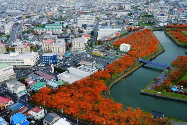 2019年11月14日 哈科德特 秋季高丽草堡的俯瞰 日本北海道的著名旅游胜地 — 图库照片