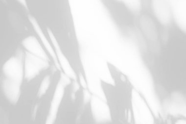 Beyaz Beton Duvar Döşeme Arkaplanında Gölge Bırakıyor, Üst Kaplama, Ürün Sunumu, Arkaplan ve Moda İçin Uygun.