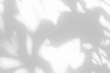 Beyaz Beton Duvar Döşeme Arkaplanında Gölge Bırakıyor, Üst Kaplama, Ürün Sunumu, Arkaplan ve Moda İçin Uygun.