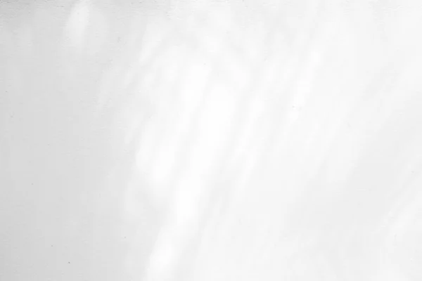 Ombra Astratta Delle Foglie Palma Sullo Sfondo Bianco Della Texture — Foto Stock