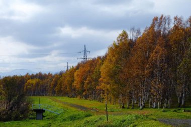 Moerenuma Park Sonbahar sezonunda Japonya 'nın Sapporo şehrinin ünlü bir simgesidir..
