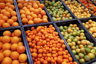 Portakal sepetler içinde farklı türleri 