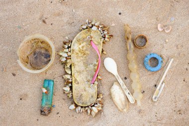 Deniz hayatını etkileyen deniz çöpe / çevre sorunu kavramı