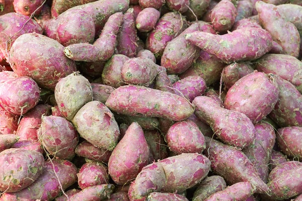 Kupie Fioletowe Słodkie Ziemniaki — Zdjęcie stockowe