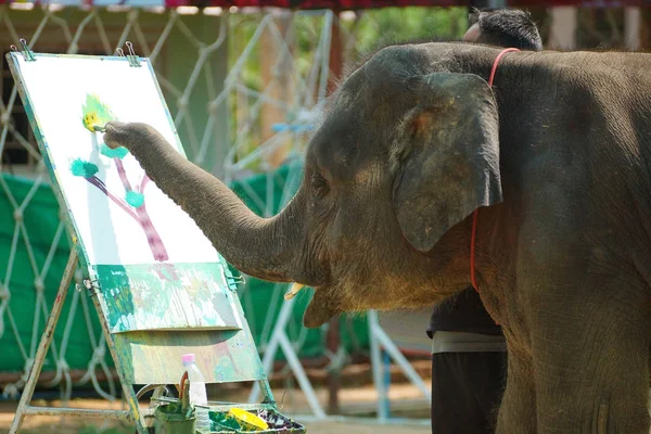Junger Elefant Zeichnet Ein Bild Eines Baumes Mit Farbe — Stockfoto