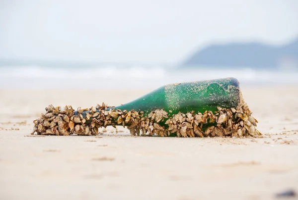 フジツボの完全ガラス瓶 海概念の汚染 — ストック写真