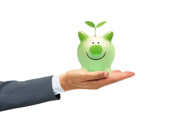 Hand Businessman Holding Green Piggy Bank Tree Green Saving Sustainable — Stock Photo, Image