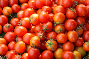 Kırmızı domates yığını