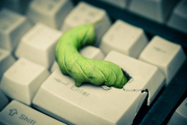 Computer security breach due to worm attack clipart