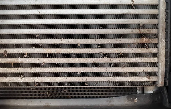 Close Van Motor Koelvloeistof Radiator Vol Dode Insecten Toe Schrijven — Stockfoto