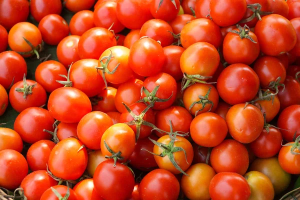 Kırmızı domates yığını