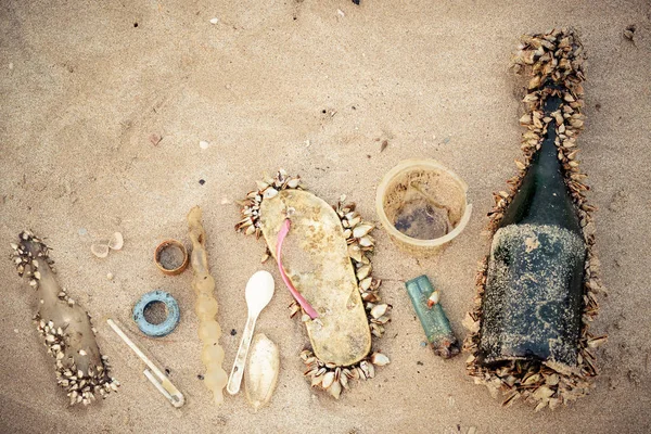 海洋生物に影響を与える海のゴミ 環境問題のコンセプト — ストック写真