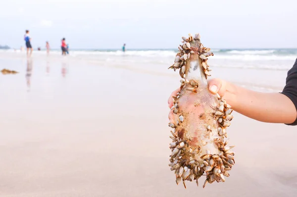 Barnacle Tam Bir Cam Şişe Tutan Deniz Kavramı Kirliliği — Stok fotoğraf